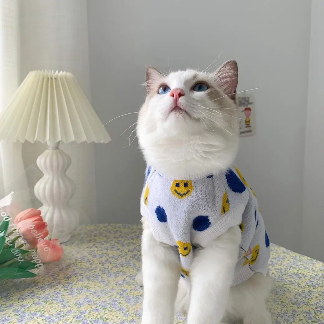 Pisica haine pentru animale de companie pisici îmbrăcăminte animale de companie pulover câine de companie de haine pentru caini si kitty cumpara online / Noi \ Smartcupbucuresti.ro